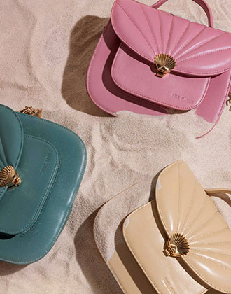 Coquillage Collection