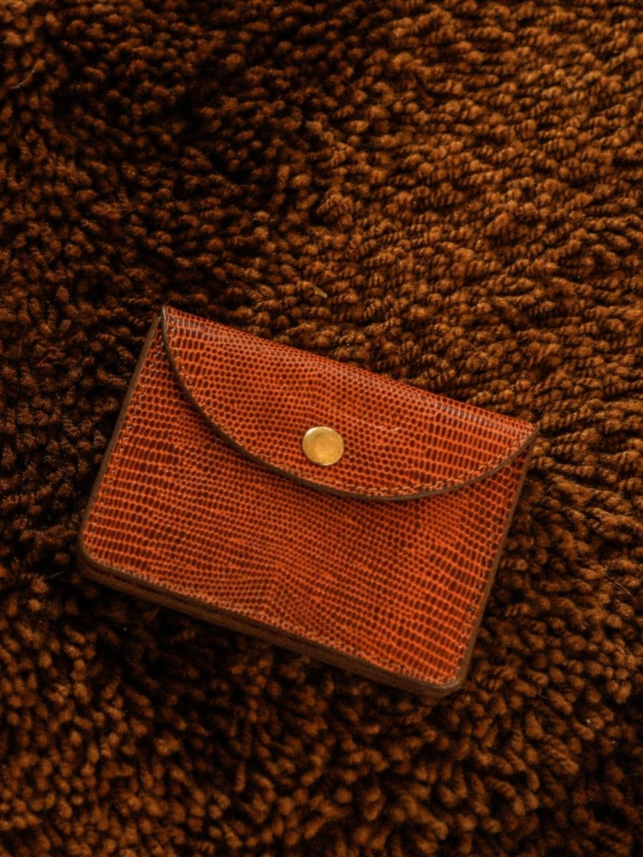 brown-leather-purse-basile-1960-paul-marius-campaign-picture-m75-l-l