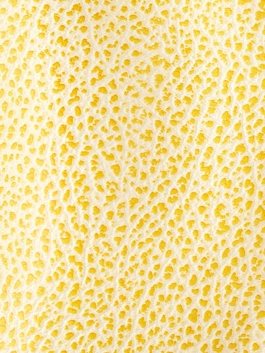 Yellow leather baguette bag Elliott Baguette - Citronnade focus material photo