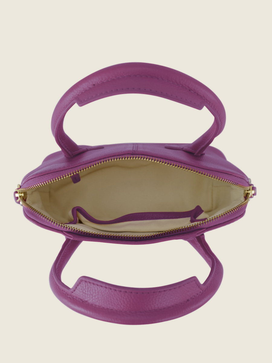 purple-leather-mini-handbag-gisele-xs-sorbet-blackcurrant-paul-marius-campaign-picture-w32xs-sb-p