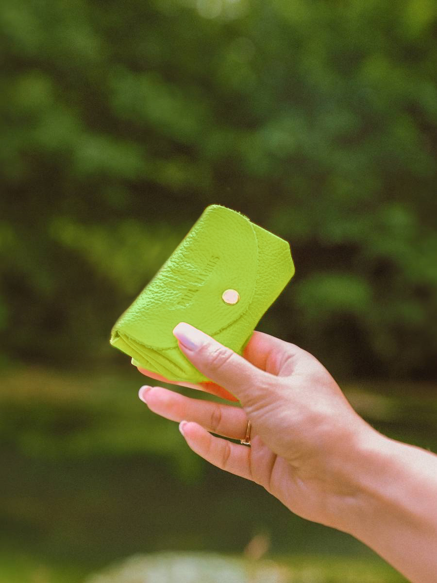 green-leather-purse-legustave-sorbet-apple-paul-marius-campaign-picture-clp-sb-lgr