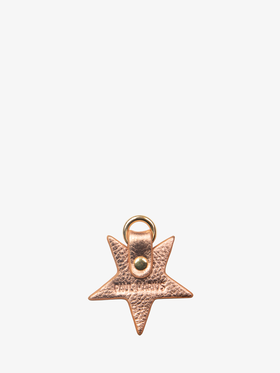 key-ring-labreloque-etoile-or-rose-campaign-view-lkc-star-g-pi