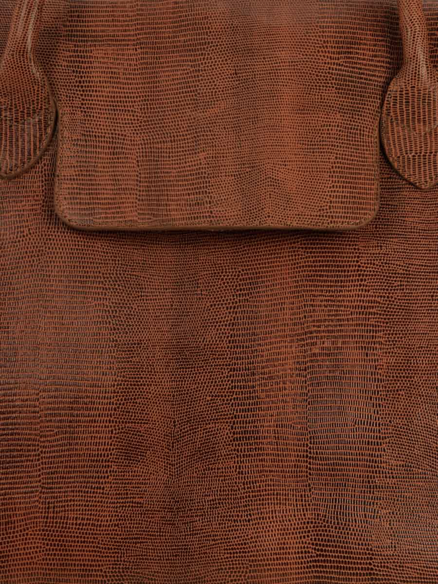 brown-leather-travel-bag-rouen-delhi-1960-paul-marius-focus-material-view-picture-m105-l-l