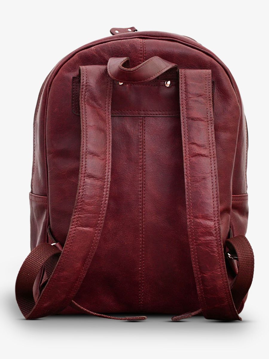 leather-back-pack-brown-rear-view-picture-lemariol-middle-brown-paul-marius-3760125330730