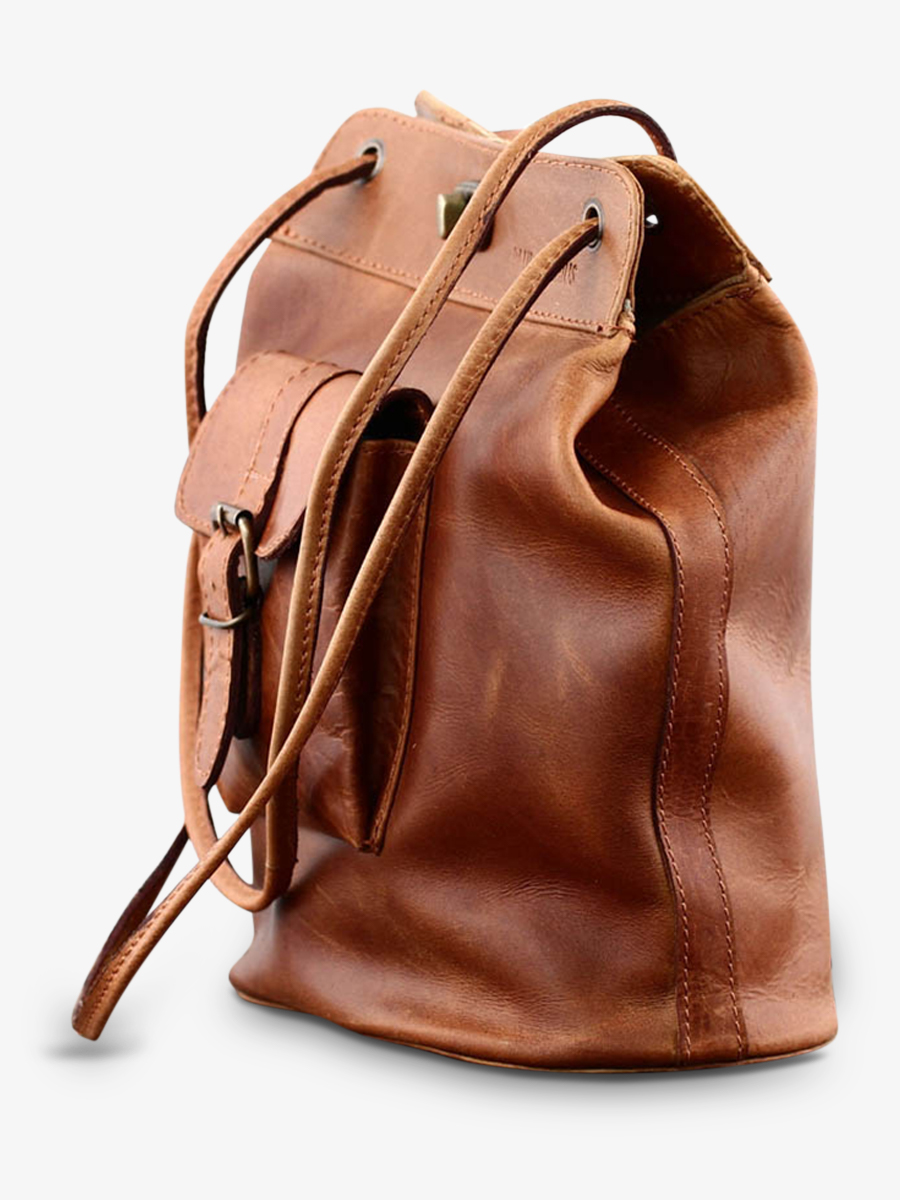 hand-bag-for-woman-brown-side-view-picture-le1950-light-brown-paul-marius-3770003007852
