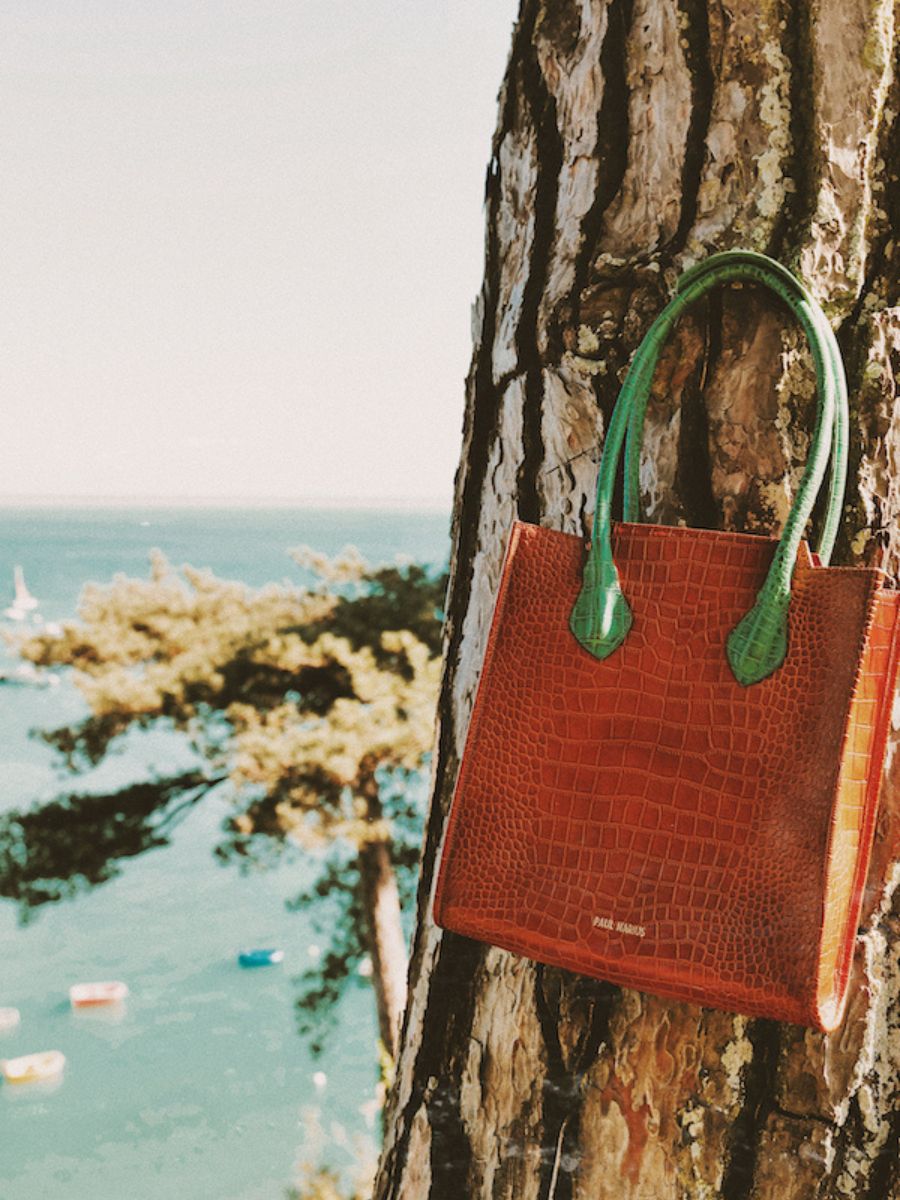Sac a main paul marius femme top