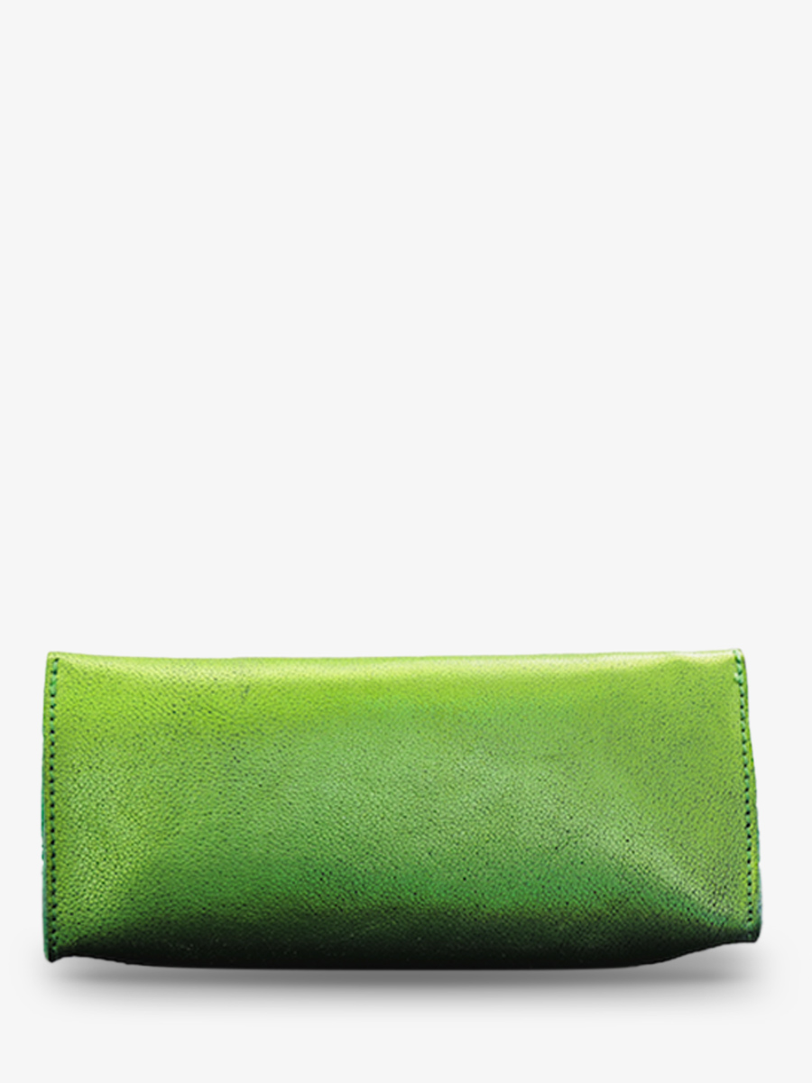 pencil-case-green-rear-view-picture-latrousse-de-paul-absinthe-paul-marius-3760125353814